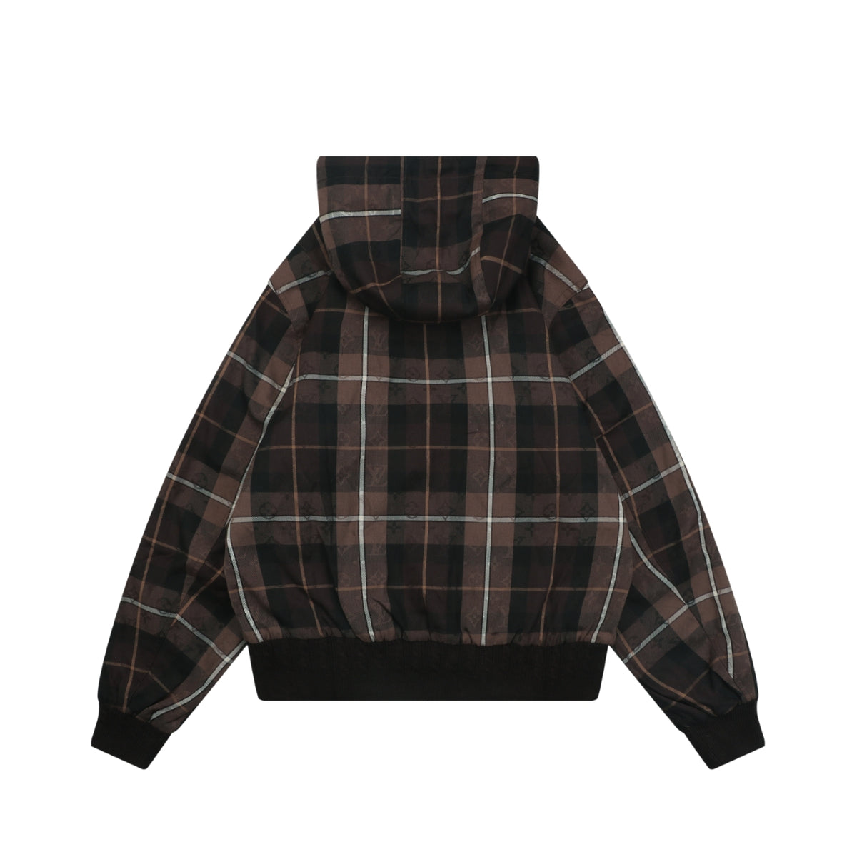Louis Vuitton Plaid Arc Logo Zip-Up Hooded Jacket