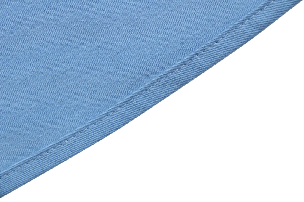 Loewe Small Floral Emblem Long-Sleeve Shirt in Blue
