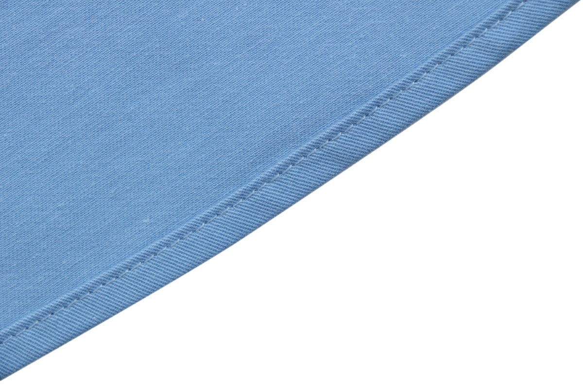 Loewe Small Floral Emblem Long-Sleeve Shirt in Blue
